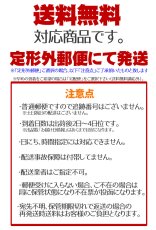 画像8: サングラス バイク クリアーレンズ 透明 HOLD感バツグン シールド ゴーグル 新品 クリアー 花粉症めがね (8)