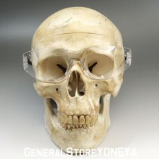 画像7: サングラス バイク クリアーレンズ 透明 HOLD感バツグン シールド ゴーグル 新品 クリアー 花粉症めがね (7)